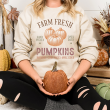 Load image into Gallery viewer, Farm Fresh Pumpkins
