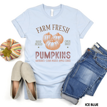 Load image into Gallery viewer, Farm Fresh Pumpkins

