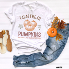 Load image into Gallery viewer, Farm Fresh Pumpkins

